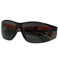 SAFETY GLASSES, PROFI SUNGLASSES RICHMANN C0026